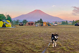 ご利用案内 ご利用案内