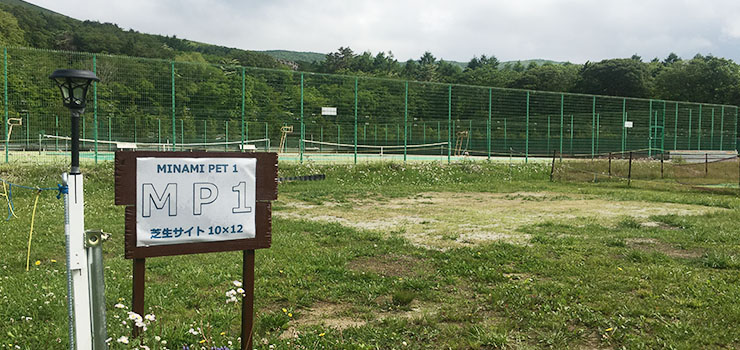 MP芝生サイト MP芝生サイト