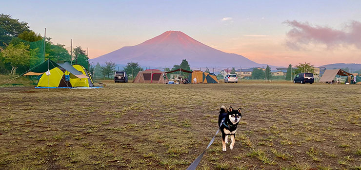 富士ビューフリーサイト 富士ビューフリーサイト