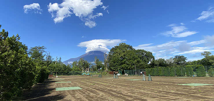 区画フリーサイト 区画フリーサイト