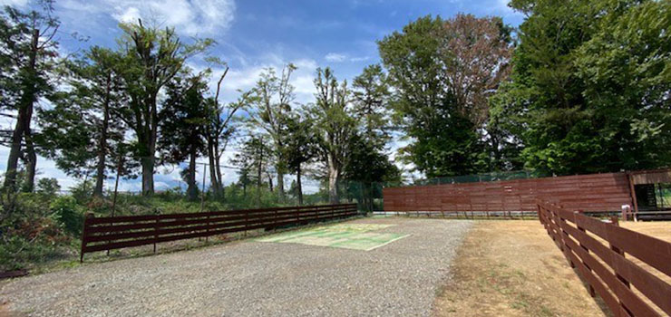 広め貸切テントサイトA 広め貸切テントサイトA