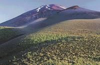富士山の森エコツアー