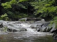 水のワークショップ