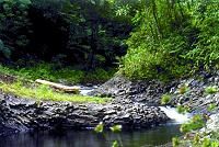 水のワークショップ